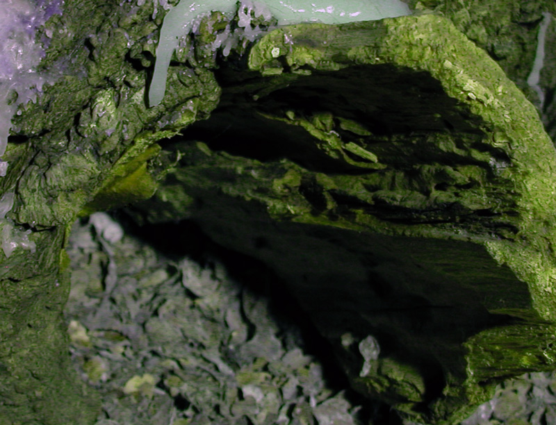 Photography by MilleDju for DesignCrowd (Community Contests) | Design #9073218