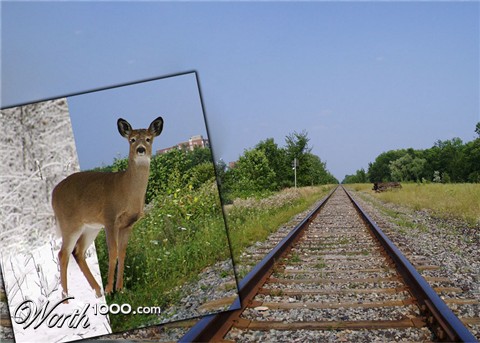 Photoshop Design by agrublev