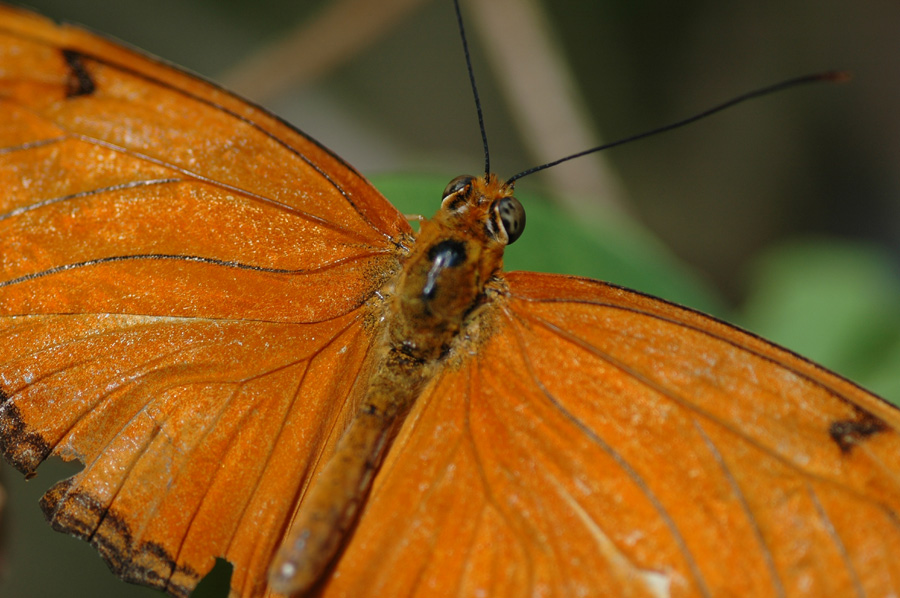 Photography by Destil for DesignCrowd (Community Contests) | Design #9069054