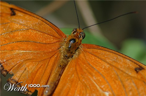 Photography by Destil