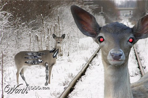 Photoshop Design by Gnarfmo