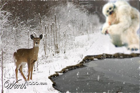 Photoshop Design by FelixBodhi