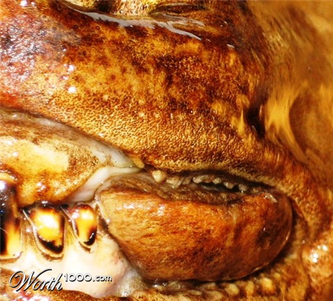 Photography by Maddyy