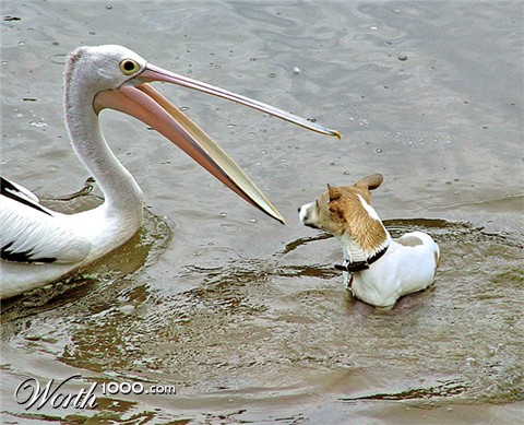 Photoshop Design by ozplasmic