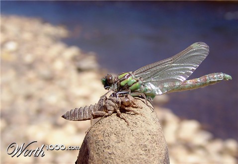 Photography by whlutz