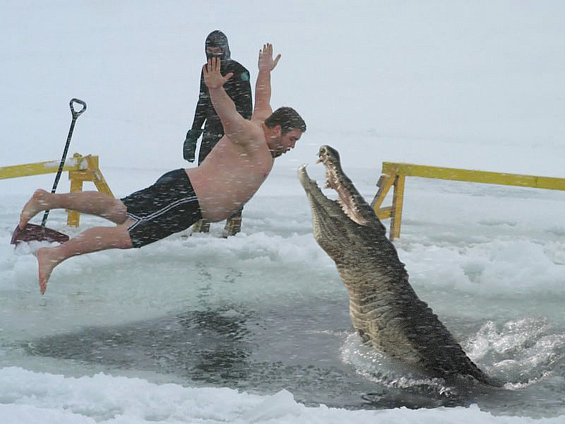 Photoshop Design by Grottzork for DesignCrowd (Community Contests) | Design #9066761