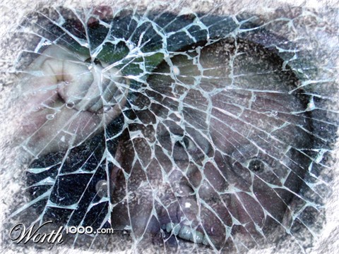 Photoshop Design by Ray__Mac