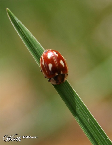 Photography by 123lezy