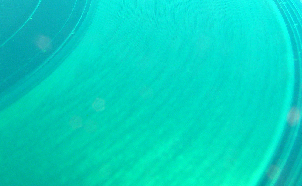 Photography by Philbert for DesignCrowd (Community Contests) | Design #9073224