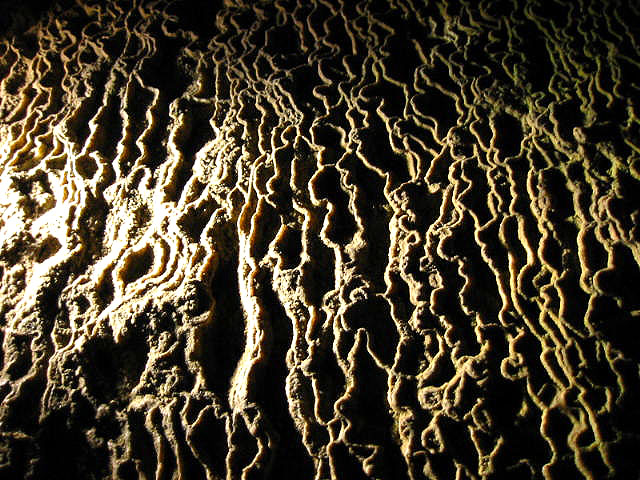 Photography by bareeska for DesignCrowd (Community Contests) | Design #9073252