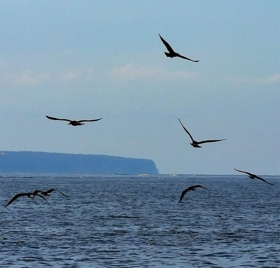 Photographie par jandreu pour DesignCrowd (Community Contests) | Design #9070701