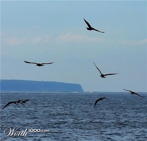 Photography by jandreu