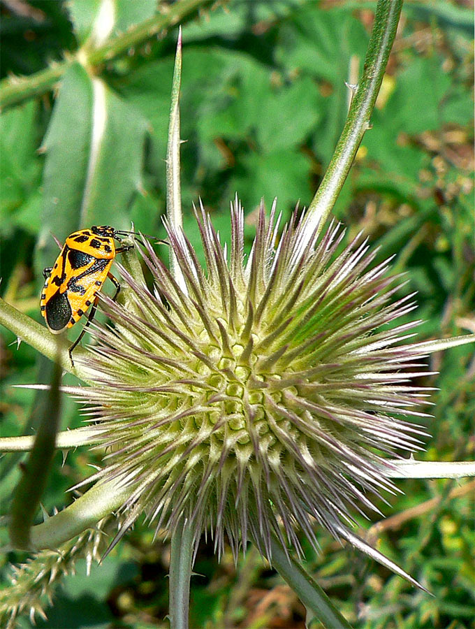 Photography by jandreu for DesignCrowd (Community Contests) | Design #9069143