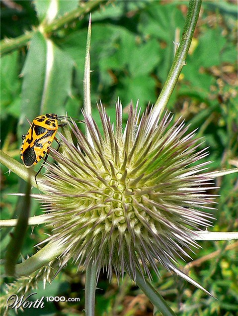 Photography by jandreu