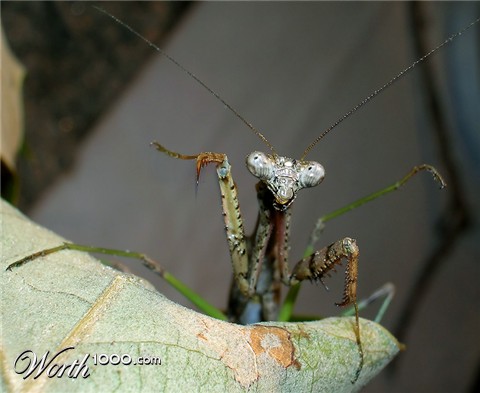 Photography by slbutler3