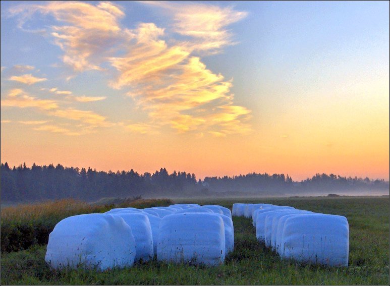 Fotografía por razzberry para DesignCrowd (Community Contests) | Diseño #9069197