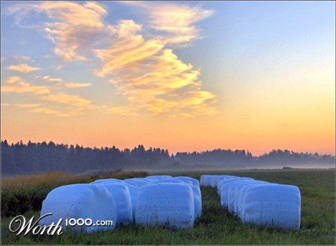 Photography by razzberry