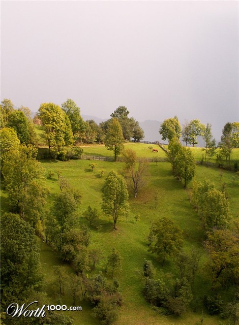 Photography by A. Luiza