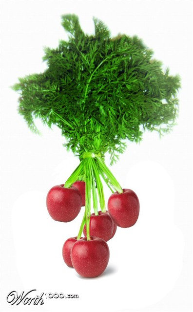 Photoshop Design by Scully