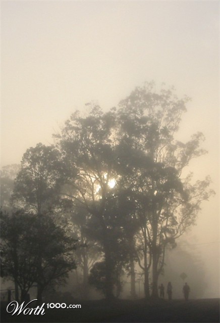 Photography by paliente