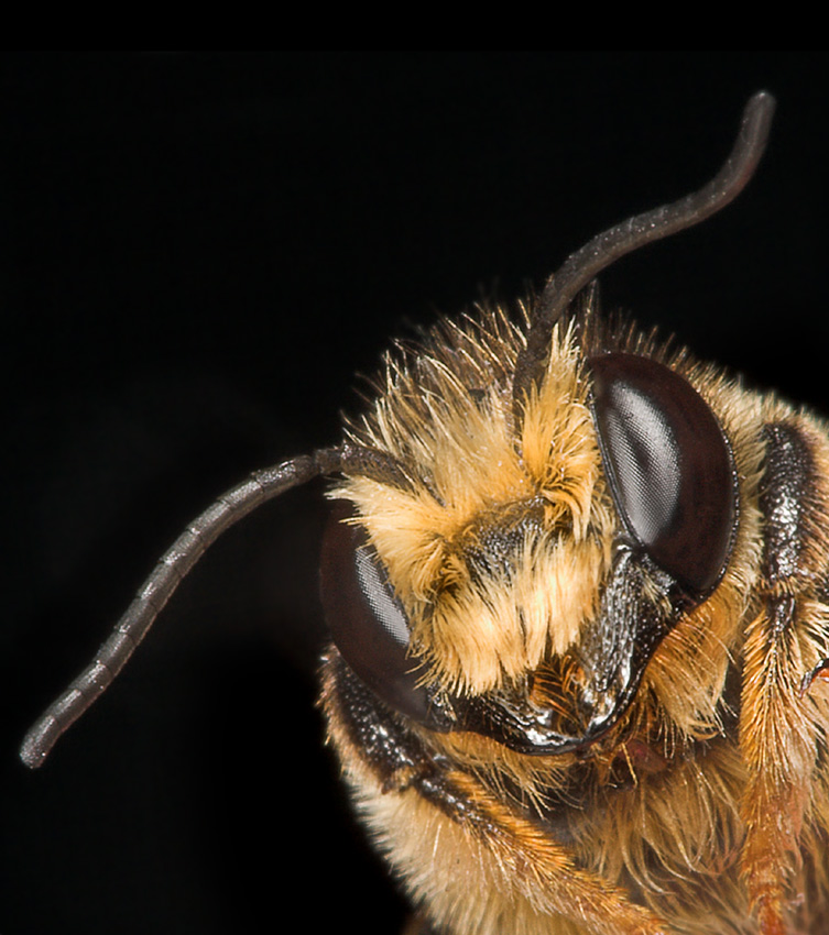 Photography by branie for DesignCrowd (Community Contests) | Design #9069072