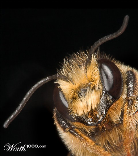 Photography by branie