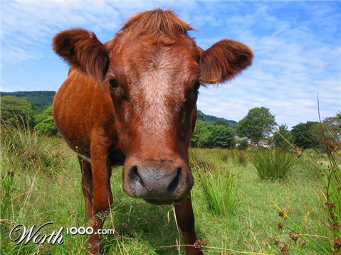 Photography by KerrazyPyRo