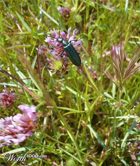 Photography by stayceejae