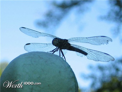 Photography by jennsee