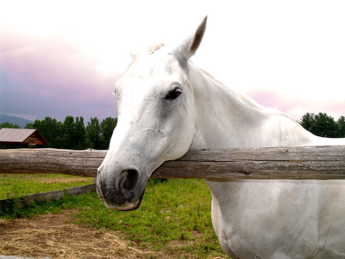 Photography by kikcolon for DesignCrowd (Community Contests) | Design #9069240