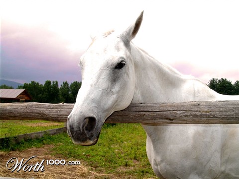 Photography by kikcolon