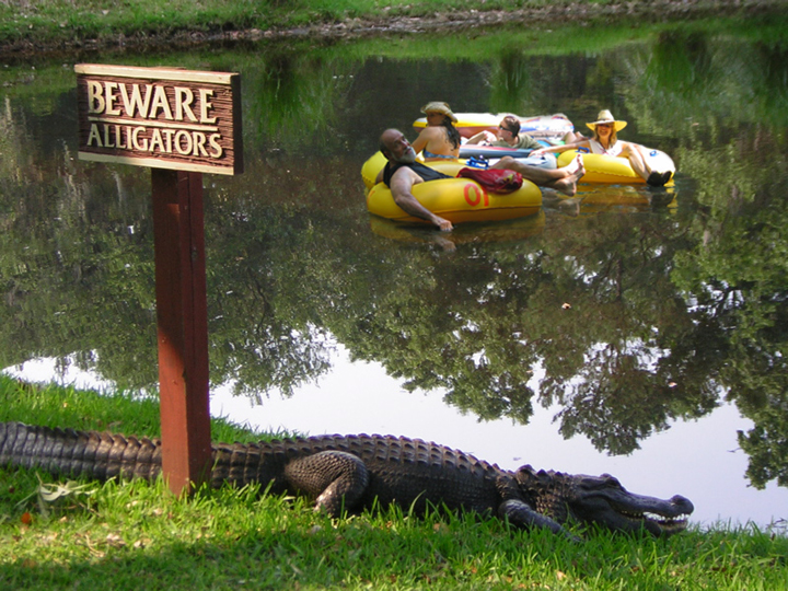 Photoshop-Design von corwin1 für DesignCrowd (Community Contests) | Design #9066878