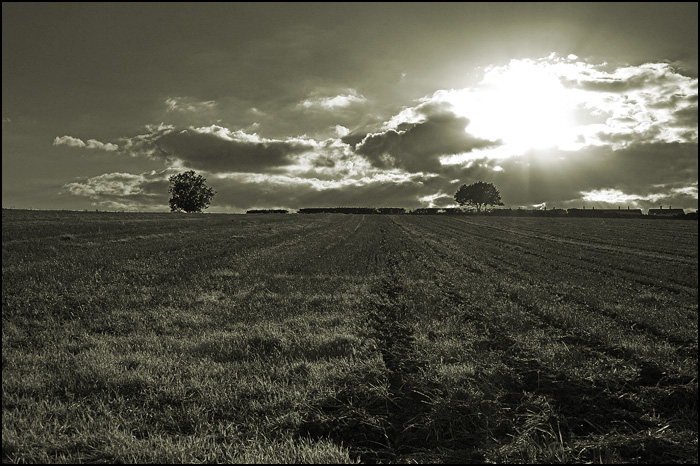 Fotografie von AceClown für DesignCrowd (Community Contests) | Design #9069258