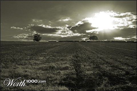 Photography by AceClown