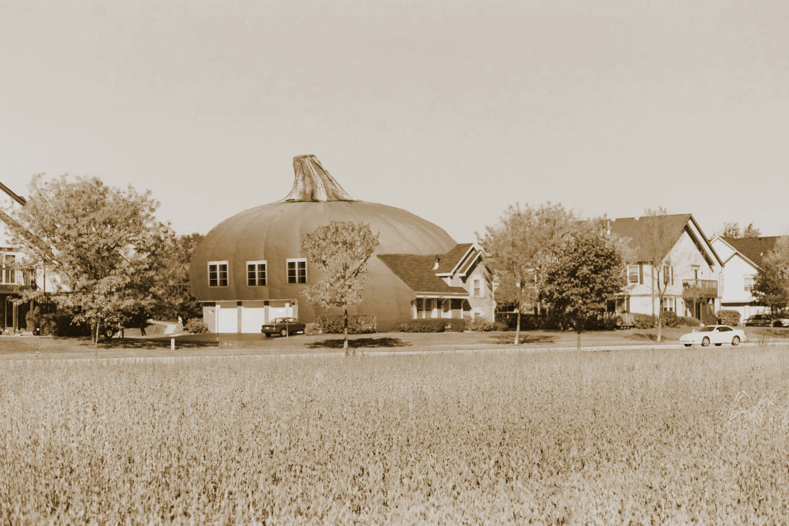 Photoshop Design by SaneyGraphics for DesignCrowd (Community Contests) | Design #9077741