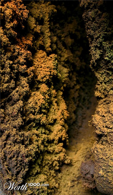 Photography by strown