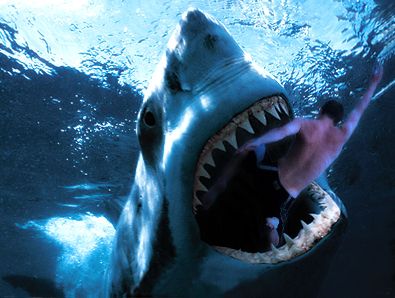 Photoshop Design by Claudio42 for DesignCrowd (Community Contests) | Design #9066882