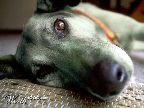 Photoshop Design by eveypd