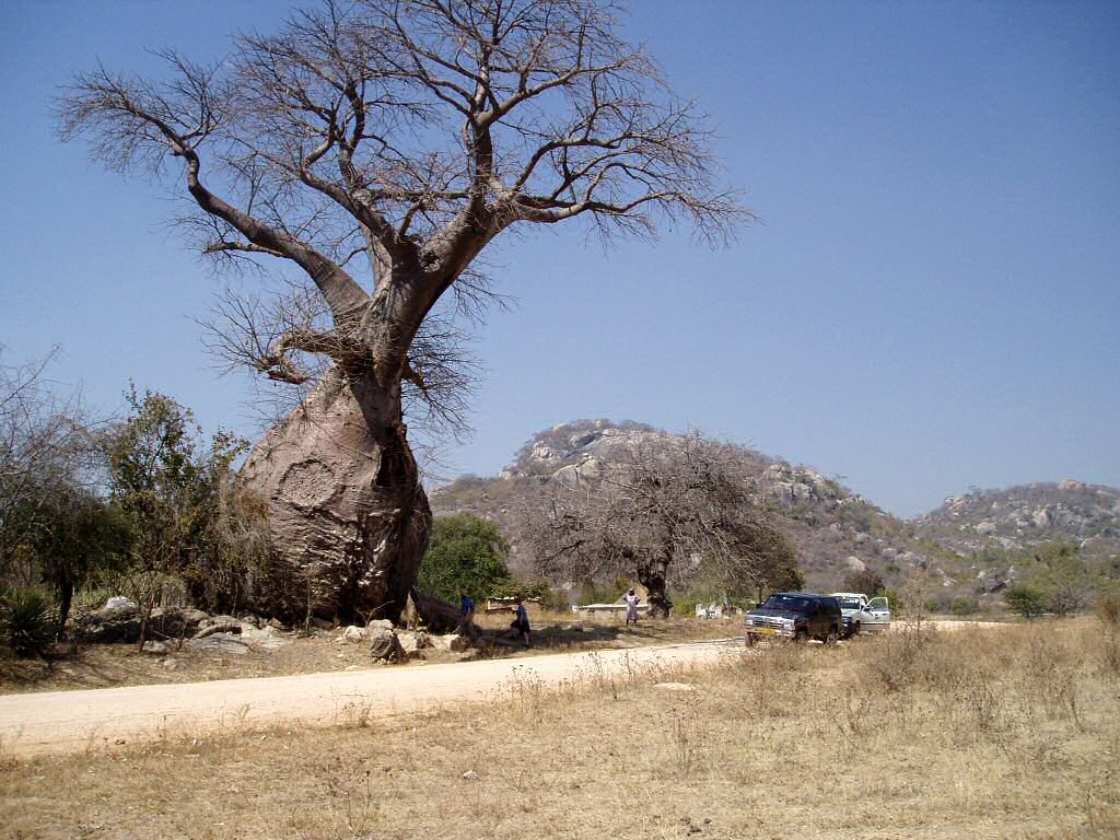 Photoshop Design by JPBarry for DesignCrowd (Community Contests) | Design #9077743