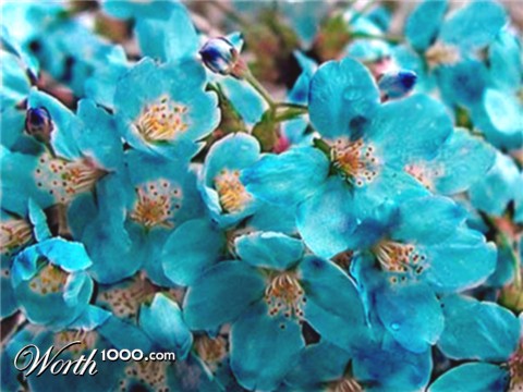 Photoshop Design by IriaErvich