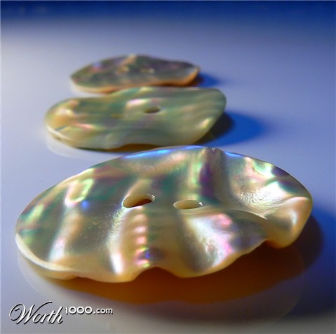 Photography by jandreu