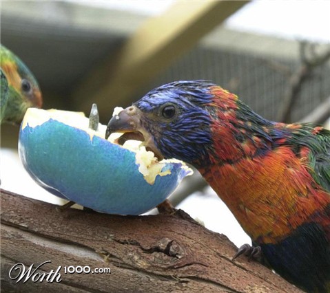 Photoshop Design by 67chops