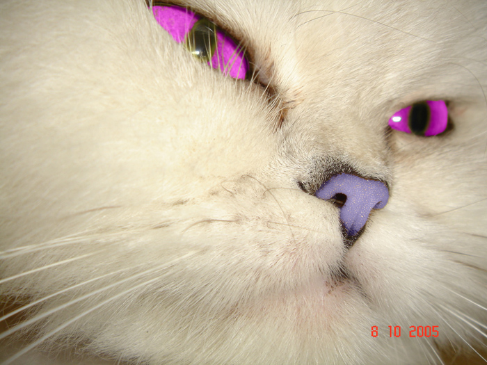 Diseño de Photoshop por kabasco para DesignCrowd (Community Contests) | Diseño #9068872