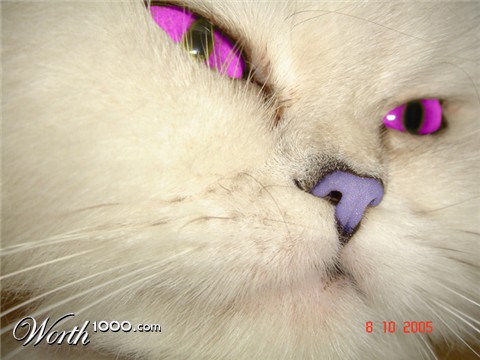 Photoshop Design by kabasco