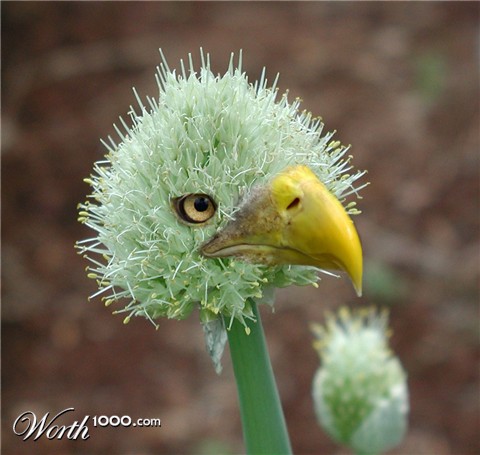 Photoshop Design by Grandma