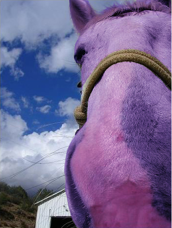 Photoshop Design by solocosmo for DesignCrowd (Community Contests) | Design #9068977