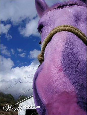 Photoshop Design by solocosmo