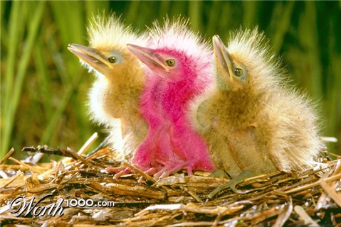 Photoshop Design by 123lezy