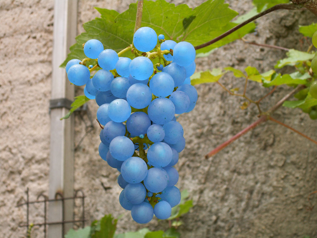 Photoshop Design by TremeX for DesignCrowd (Community Contests) | Design #9068952