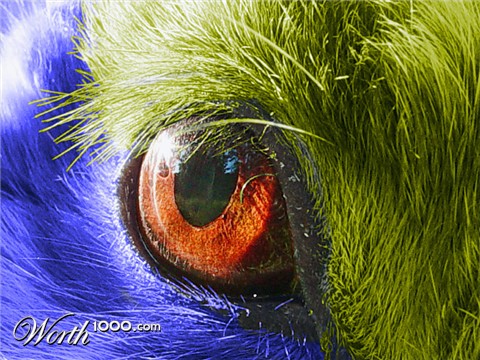 Photoshop Design by MasterGnu